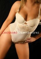 Darcy from Cheshire Companions