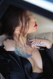 Lily escort available in Frankfurt Am Main